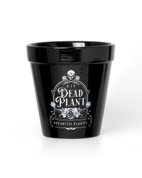 Dead Plant Gothic Pot