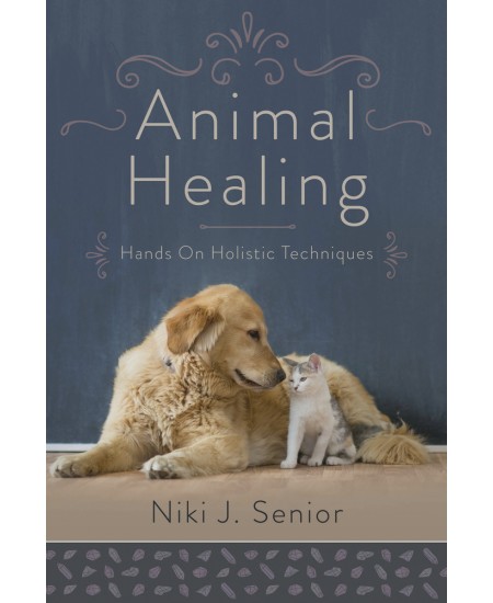 Animal Healing - Hands-On Holistic Techniques for Your Pet, Natural Heal