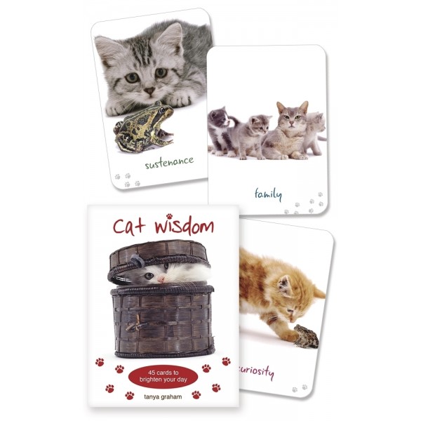 Cat Wisdom Cards