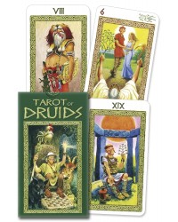 Tarot of Druids Cards