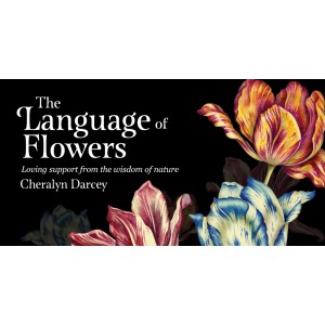 The Language of Flowers Cards