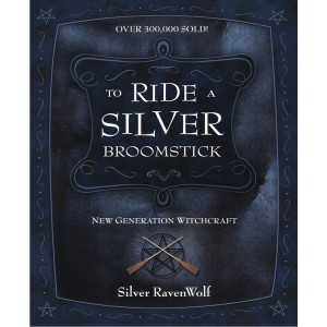 To Ride a Silver Broomstick