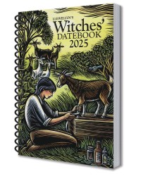 Witches' Datebook Planner - Llewelln's Annual 2025