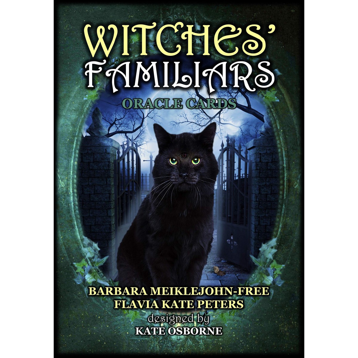 Witches' Wisdom Oracle Cards: Meiklejohn-Free, Barbara, Peters, Flavia  Kate: 9780738758848: : Books