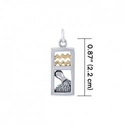 Aquarius Silver and Gold Charm