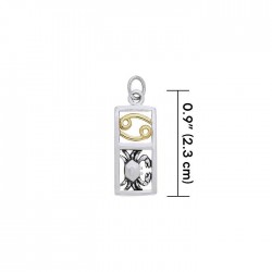 Cancer Silver and Gold Charm