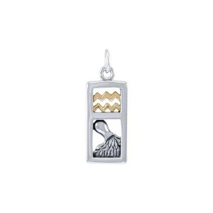 Aquarius Silver and Gold Charm