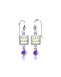 Aquarius Zodiac Sign Earrings with Amethyst