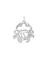 Cancer Zodiac Symbol Charm