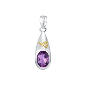 Capricorn Zodiac Sign Pendant with Amethyst