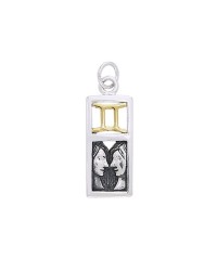 Gemini Silver and Gold Charm