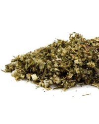 Mugwort Organic Bulk Herb