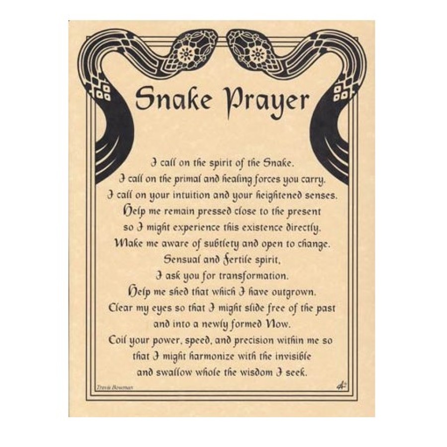 Printed Book of Shadows Parchment Poster - Wicca, Snake