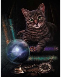 Cat deals fortune teller